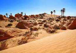 包含撒哈拉以北:突尼斯击败黎凡特,傲视群雄,晋级八强的词条 包含撒哈拉以北:突尼斯击败黎凡特,傲视群雄,晋级八强的词条