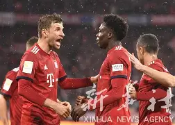 布雷斯法维特主场战胜慕尼黑,晋级欧洲足球联赛半决赛 布雷斯法维特主场战胜慕尼黑,晋级欧洲足球联赛半决赛