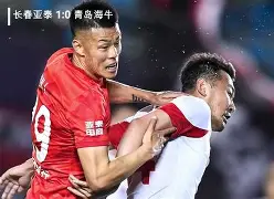 包含国安斗志昂扬，力争客场战胜鲁能的词条